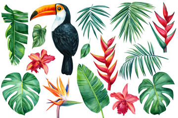 Tropical collection with exotic flowers, bird and palm leaves, design isolated elements on a white background, clipart