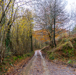 Landscapes and animals of the Picos de Europa National Park