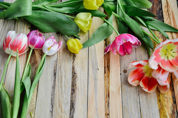 The frame of tulips is on a wooden background. Bright multicolored spring flowers with a place for text