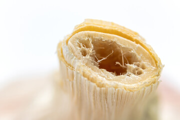 Macro of the upper part of a garlic bulb.