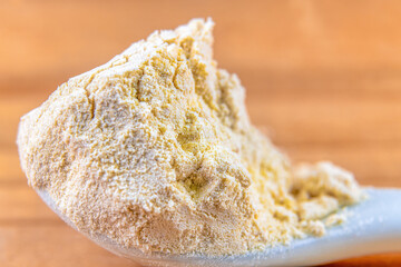 Macro of wheat gluten in a small spoon