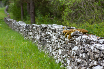 An old handmade stone fence in Swedish counrtyside  on Gotland island