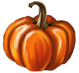 Digital hand painted pumpkin isolated on white background