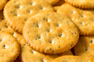 Healthy Brown Round Whole Wheat Crackers