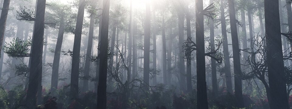 Forest in the morning in a fog in the sun, trees in a haze of light, glowing fog among the trees, 3D rendering