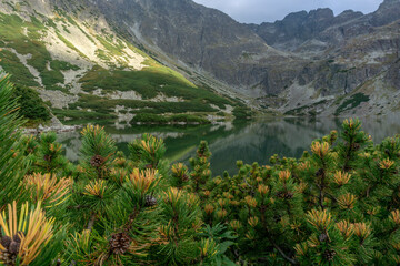 Black Pond Gasienicowy beautiful clean lake in the Polish Tatra Mountains.