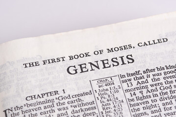 book of genesis