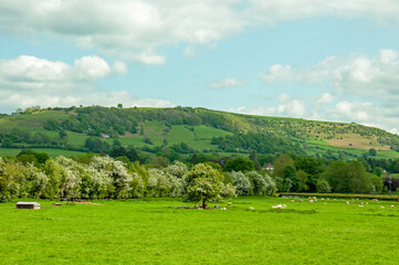 Fototapeta na wymiar Rural scenery around Hay-on-Wye, England and Wales in the summertime.