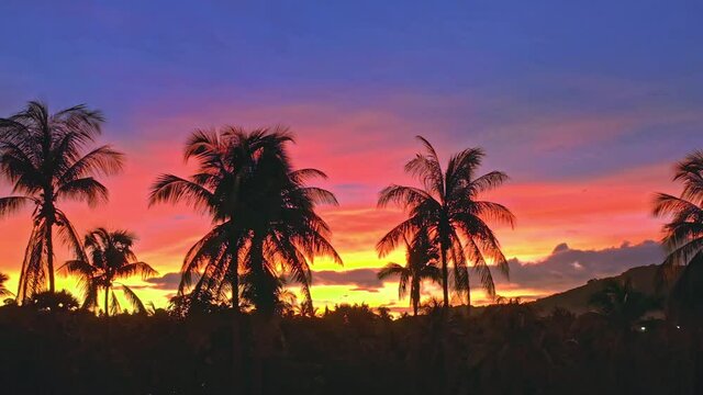 Tropical island paradise landscape nature background. Palm trees silhouettes
