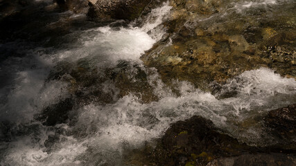 The rapids. Closeup view of the fresh water stream with a rocky bed.