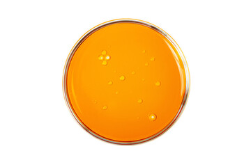 Top view of the petri dish with bubbles inside.Warm yellow background with copy space.Mockup...