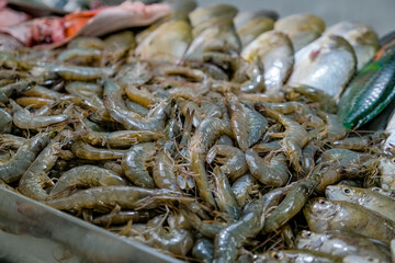 Freshly caught pacific shrimp and various seafood in background put on display for sale in a supermarket