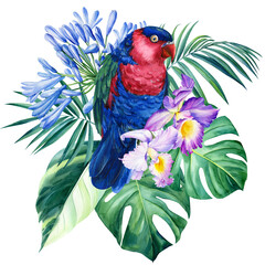 Watercolor illustration with parrot, tropical leaves, flowers. Isolated on white background