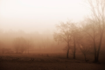 Campagna nella nebbia