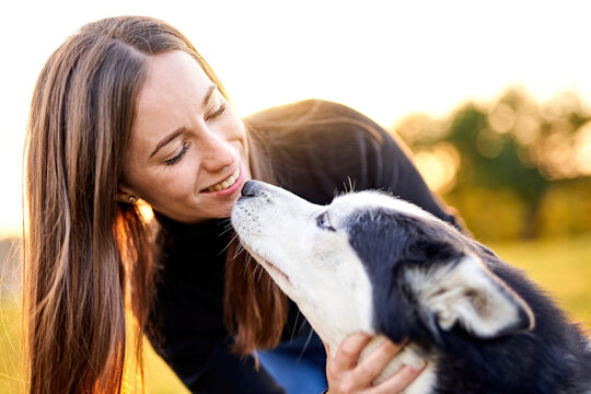 Siberian husky playing in grass outdoors with the owner girl together - Human and dog friendship and loyalty concept outside on a countryside field