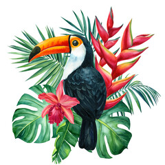 Tropical flowers, toucan and palm leaves. Floral design isolated elements on a white background © Hanna