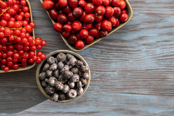 red cranberries and blueberries in sunlight