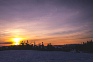 Fototapeta premium sunrise over the forest