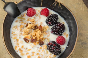 Close-up of a bowl of homemade granola with fresh berries and vegetable milk on a light background. The concept of natural products, vegetarianism and diets. Healthy breakfast.