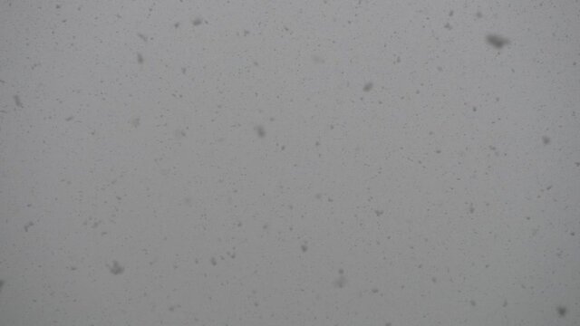 Chute de gros flocons de neige sur un ciel gris