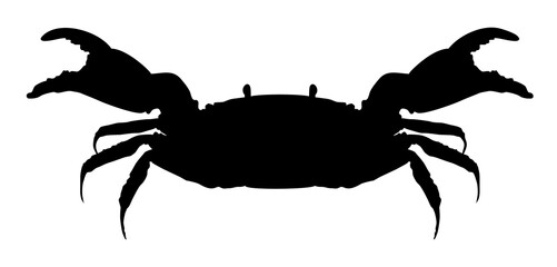 silhouette of an animal crab vector