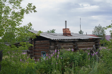 An old wooden house with green trees and tall grass. On the background of the sky with clouds. High quality photo