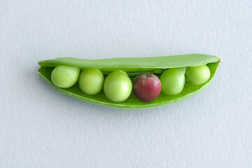 Peas in pod with miniature apple standing out