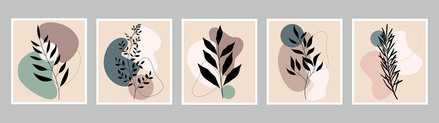 A set of vector drawings on a botanical theme.