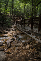 Hiking in the woods. View of the wooden bridge over the fresh water stream with a rocky river bed flowing across the forest. 