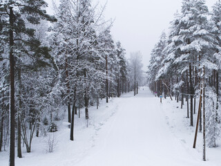 Fototapeta na wymiar Winter landscape. Ski track in europe, winter sport. Ski slope in Lahti Finland