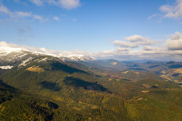 Aerial view of majestic mountains covered with green spruce forest and high snowy peaks.