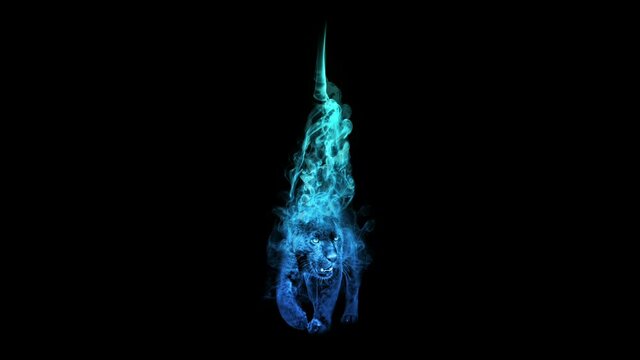 black panther in colorful blue smoke animation in a black background