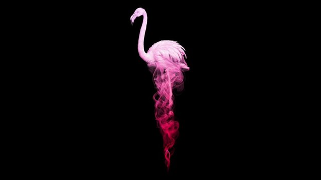 pink flamingo in colorful animated smoke effect