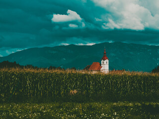 small church behind a corn field