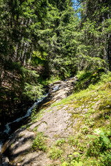 Fototapeta na wymiar Forest and stream landscape in The Grand-Bornand, France