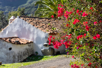 Wanderurlaub auf LA GOMERA, Kanarische Inseln: Wanderung in der Nähe des Roque Agando mit bunten Blüten und alter Finca