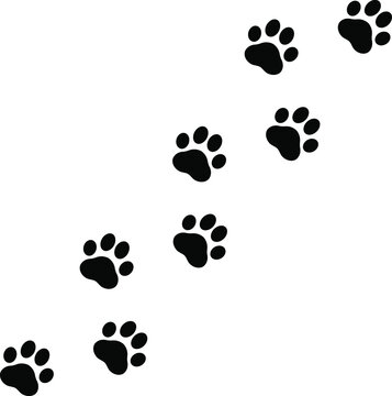 Paw vector foot trail print of cat. Paw prints. Footprint pet. Dog, pattern animal tracks isolated on white background vector icon Illustration.