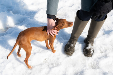 Enjoying a vacation day in the snow with my adorable dog