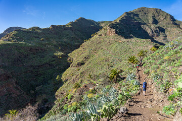 Wanderurlaub auf LA GOMERA, Kanarische Inseln: Wanderung eines Paares auf Bergrücken in der Nähe des Roque Agando - obrazy, fototapety, plakaty