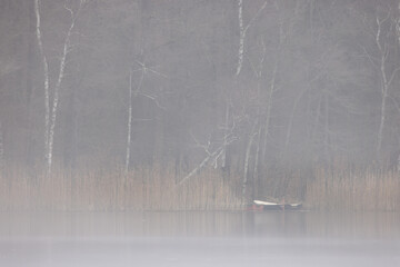 Ruderboot am See bei Nebel