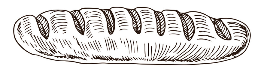 Vector hand drawn doodle sketch baguette bread isolated on white background