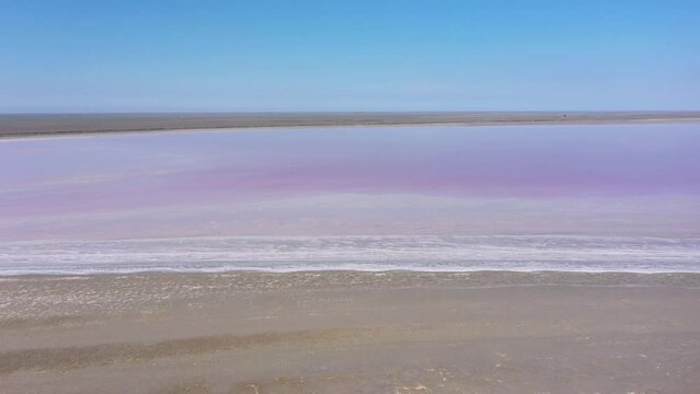 Pink salty lake Manych. Saline with pink plankton. Aerial wide shot from top to bottom on a summer sunny day. Dagestan, Russia