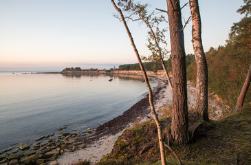 Fototapeta premium Scenic sunset colored coastal view to the coastal sea bay and cliffs from the woodland edge