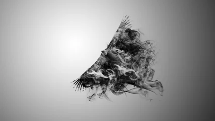 Cercles muraux Fumée photo montage bird with smoke