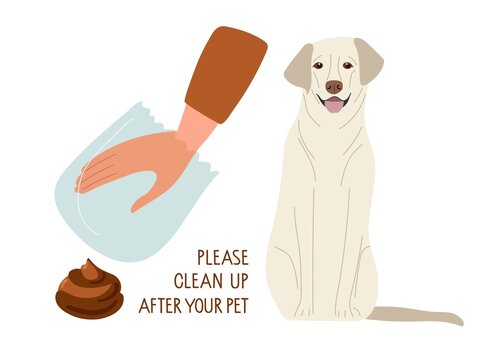 Please Clean up after your dog sing. Human hand in transparent bag going to remove pet waste. Labrador retweaver sitting. Social responsibility. Animal excrement. Flat vector illustration isolated.
