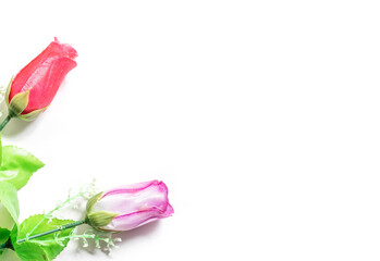Valentine's Day background. Red and pink plastic roses on white background.