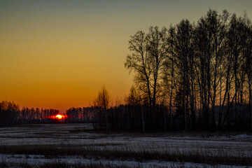 Winter sunset in the Siberian mixed forest.