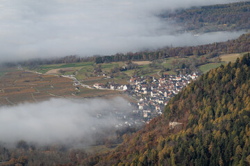Nebel in der Herrschaft