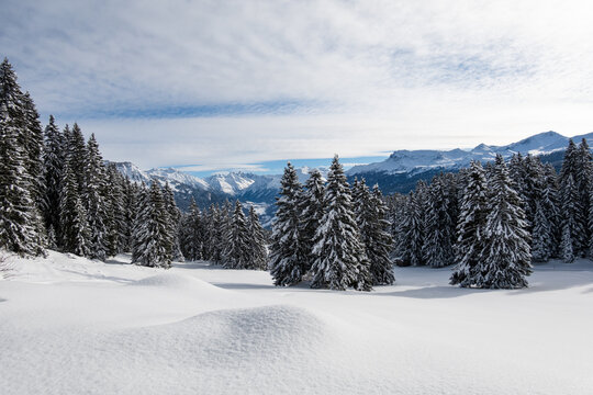 Winter in Pany