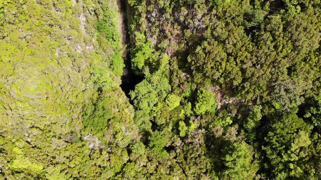 Aerial footage of spectacular jungle river falling into waterfall.